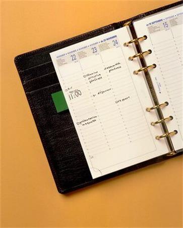 Chip Develop Ineo 250/252 IU black 70K